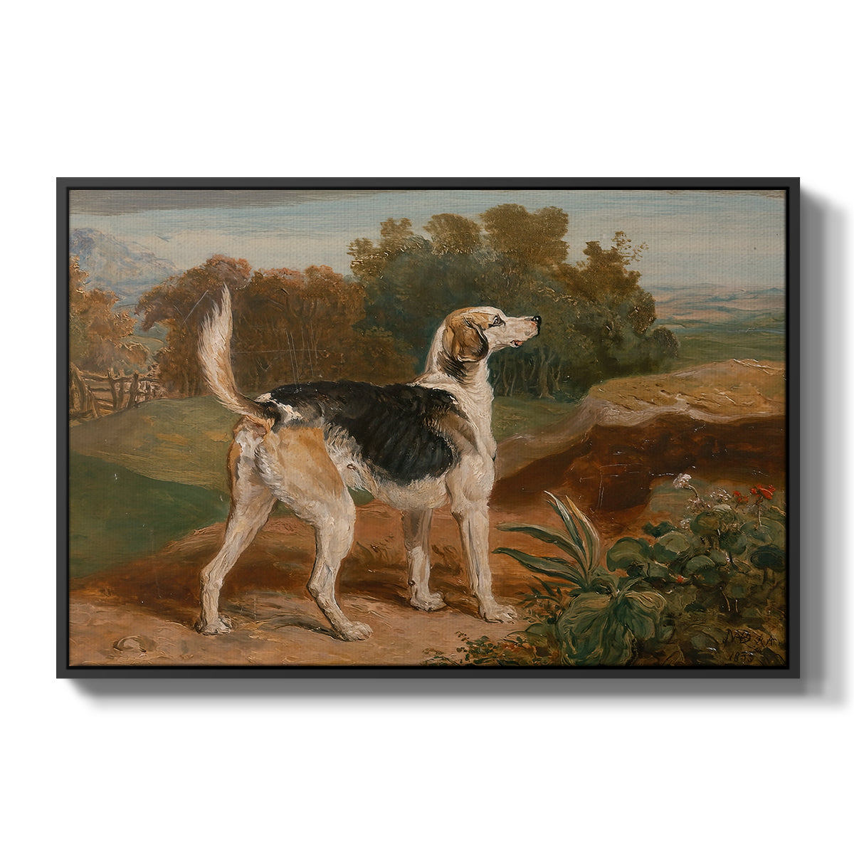 Ravager, One of the Lambton Hounds, 1835 - Floater Framed Canvas Print