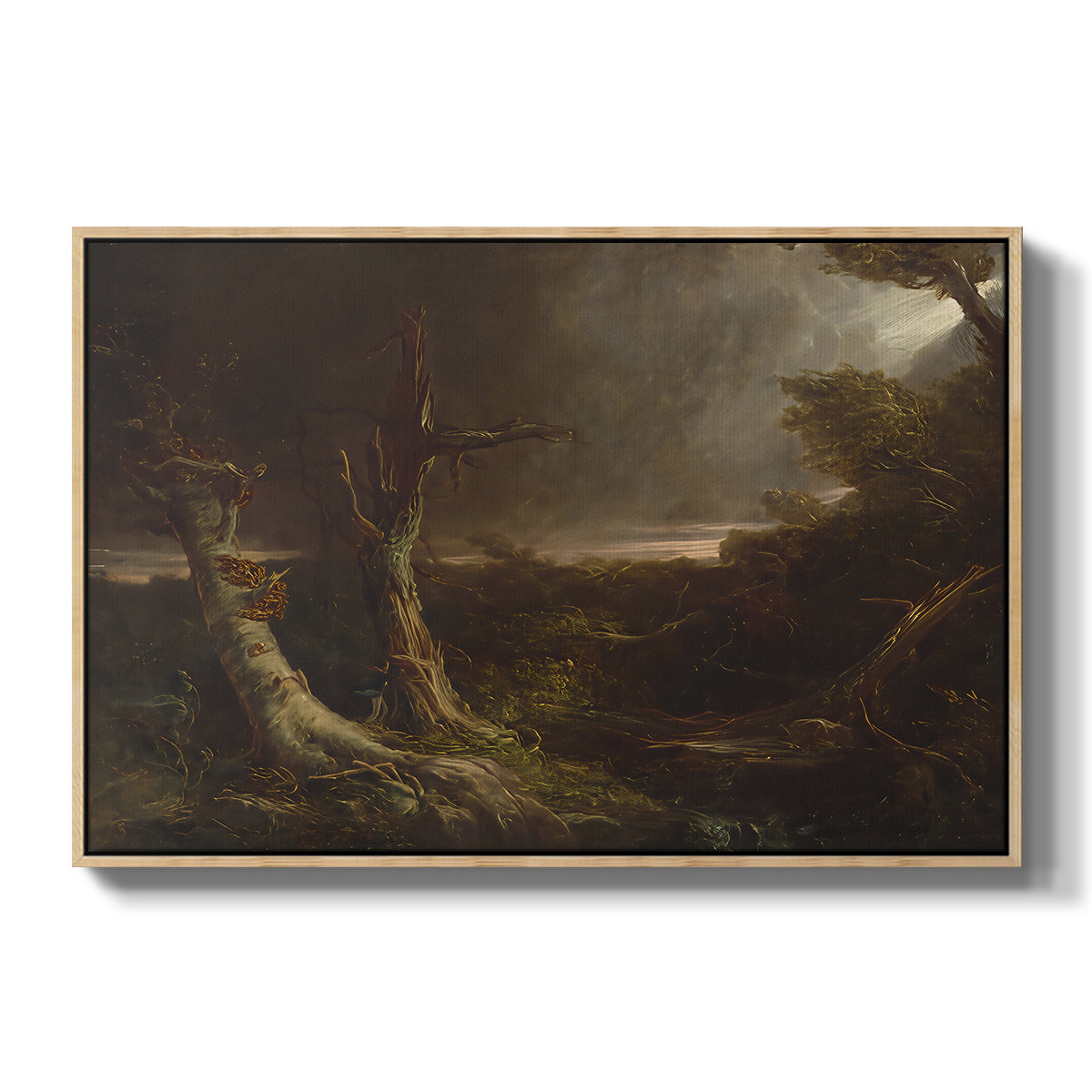 Tornado in an American Forest, 1835 - Floater Framed Canvas Print