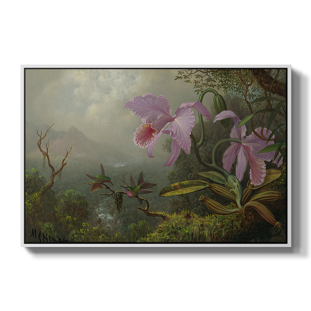 Two Sun Angel Hummingbirds on a Branch, c. 1890-1904 - Floater Framed Canvas Print