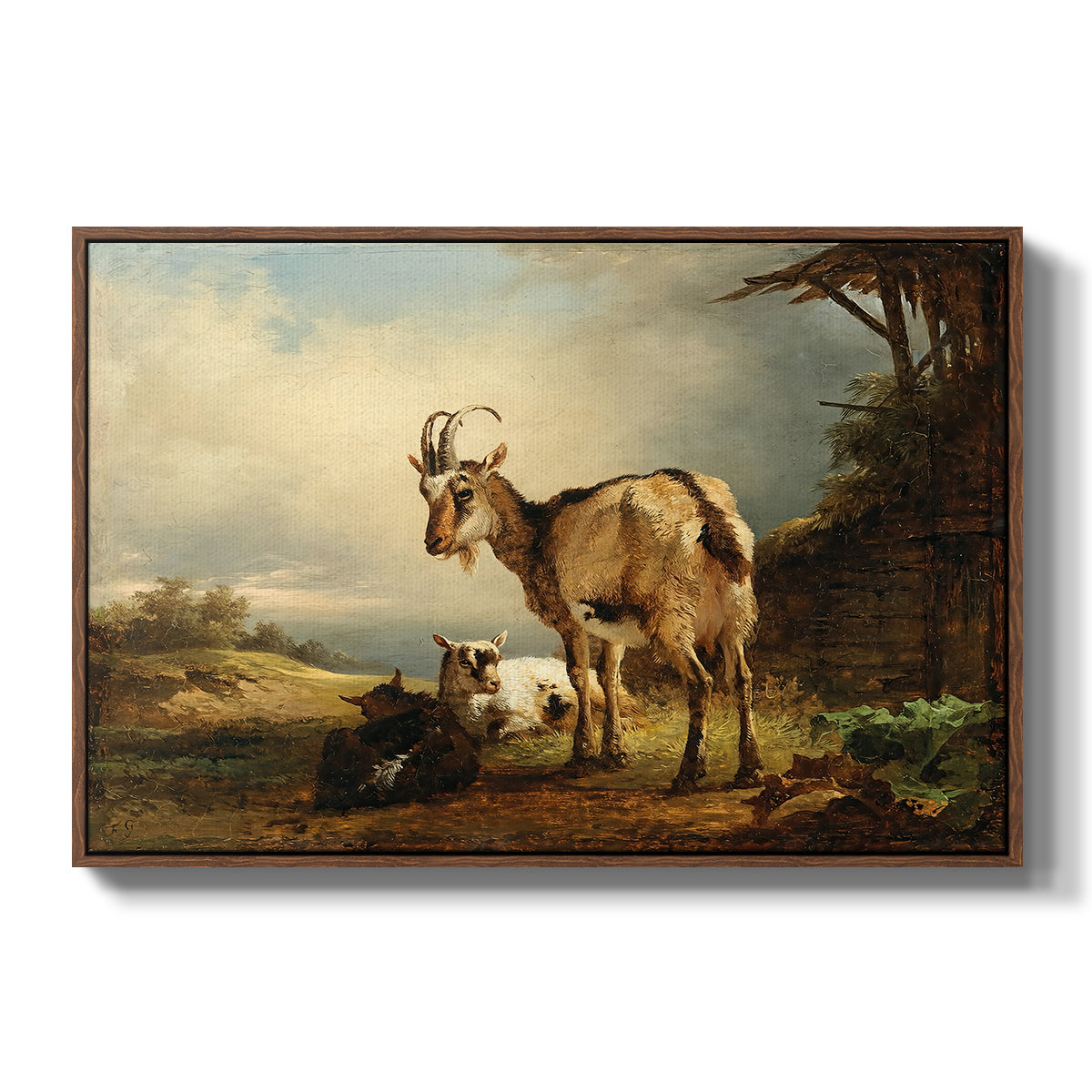 A Goat with Two Kids - Floater Framed Canvas Print