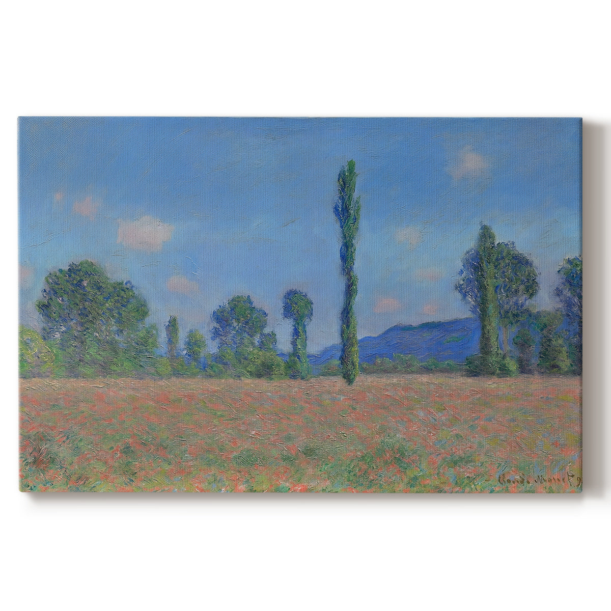 Canvas art print portraying an expansive field of red poppies with tall trees under blue sky, set against a white background