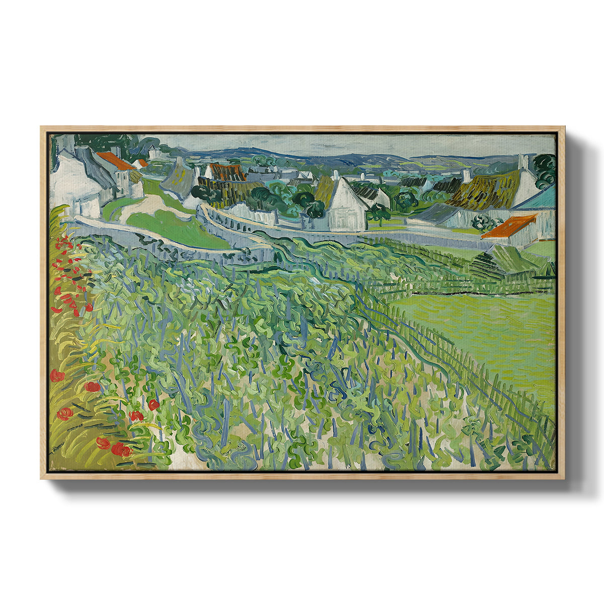 Vineyards at Auvers, 1890 - Floater Framed Canvas Print