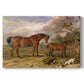 Canvas art print portraying a group of horses gathered together in landscape setting, set against a white background