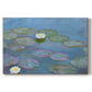 Canvas art print portraying floating water lilies on pond with reflections of sky and foliage, set against a white background