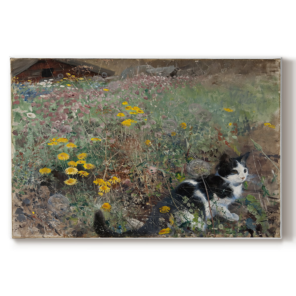 Canvas art print portraying a cat crouching in a meadow filled with wildflowers and greenery, set against a white background