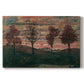 Canvas art print portraying four trees standing in open landscape against colorful sky, set against a white background