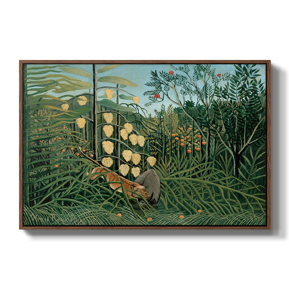 Fight Between a Tiger and a Buffalo, 1908 - Floater Framed Canvas Print