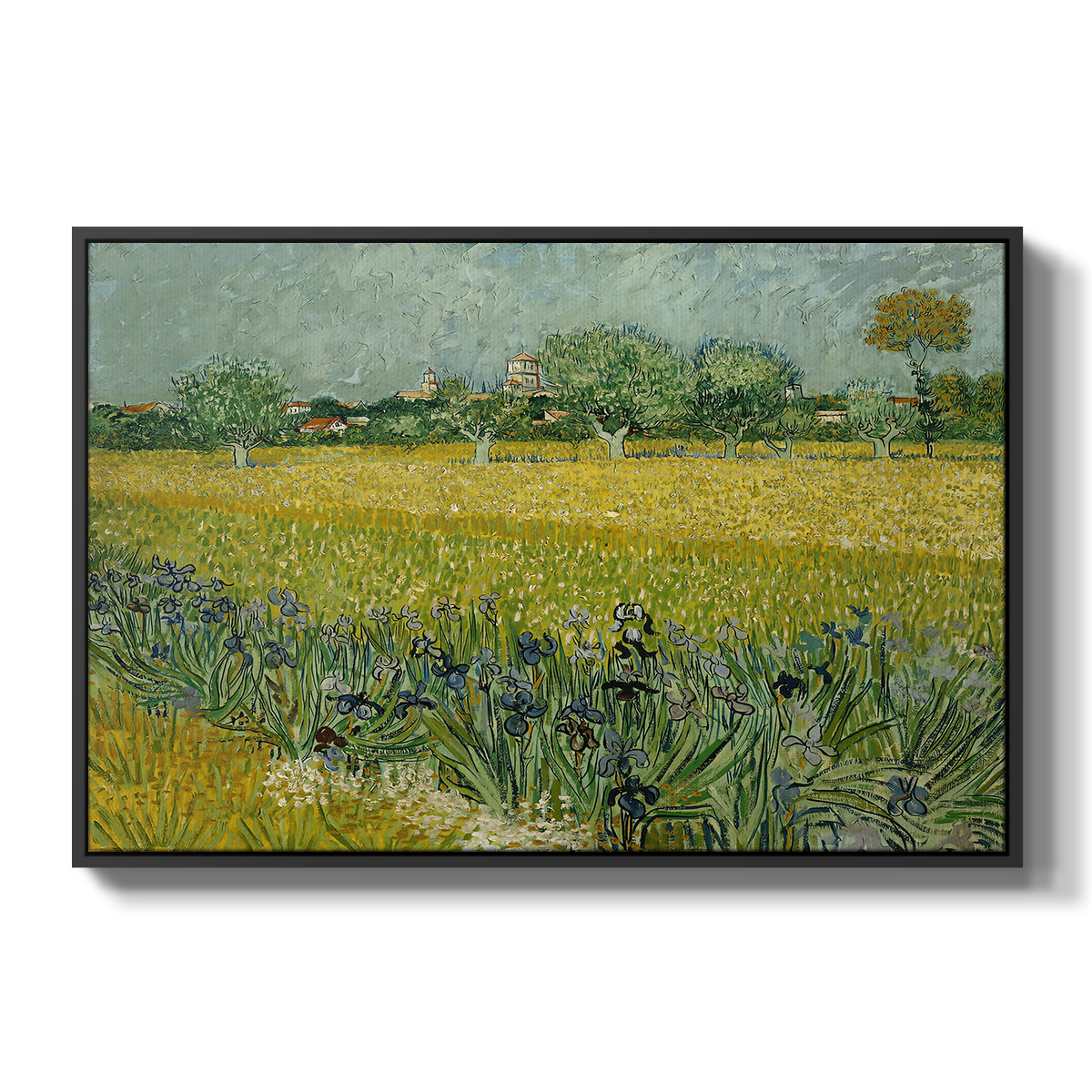 Field with Irises near Arles, 1888 - Floater Framed Canvas Print
