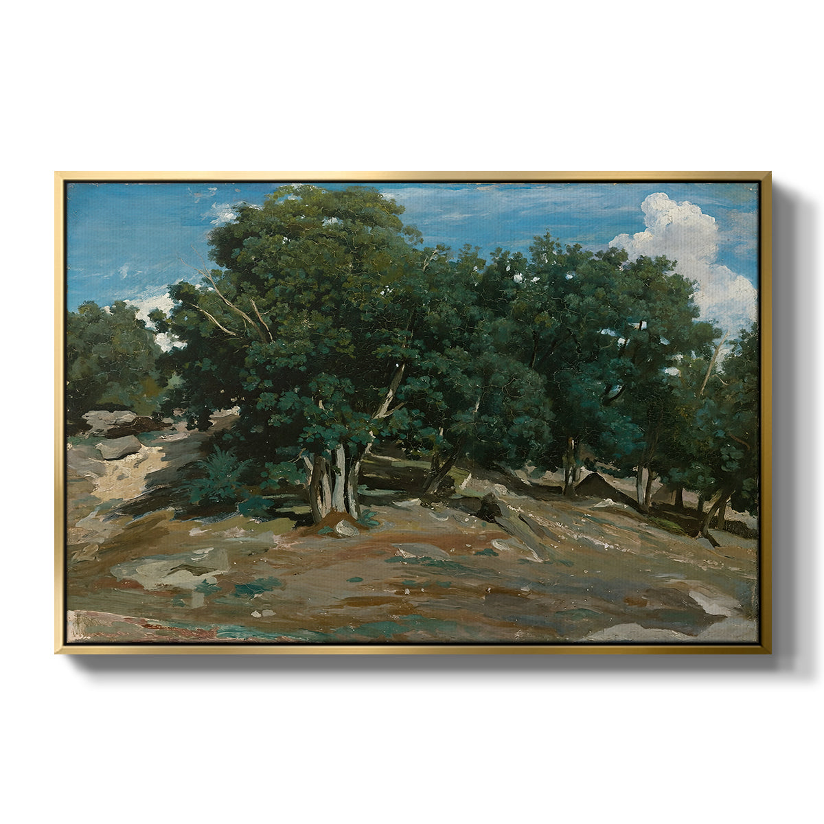 Fontainebleau: Oak Trees at Bas-Bréau, c. 1830-1835 - Floater Framed Canvas Print