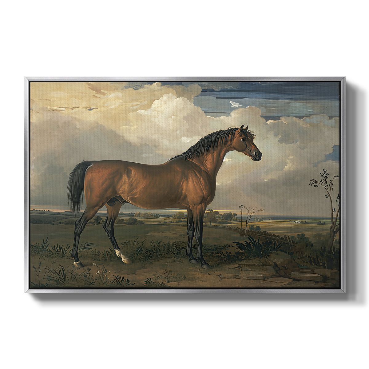 Eagle, A Celebrated Stallion, 1809 - Floater Framed Canvas Print