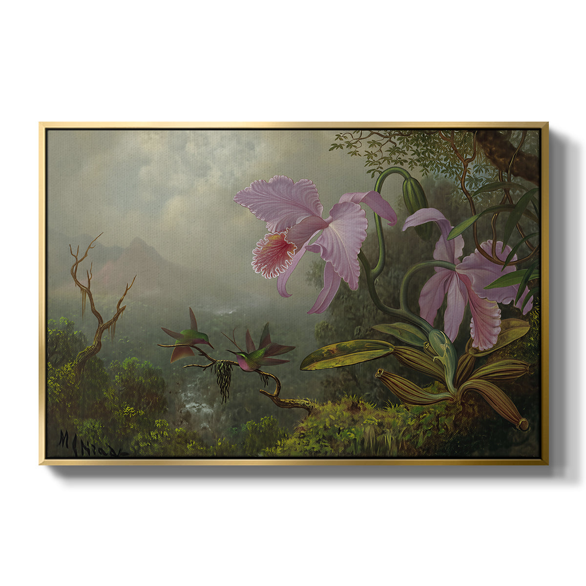 Two Sun Angel Hummingbirds on a Branch, c. 1890-1904 - Floater Framed Canvas Print