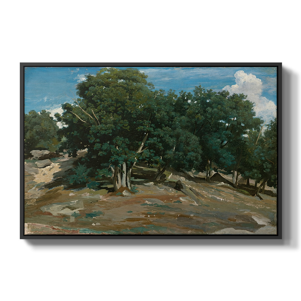 Fontainebleau: Oak Trees at Bas-Bréau, c. 1830-1835 - Floater Framed Canvas Print