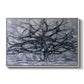 The Gray Tree, 1911 - Floater Framed Canvas Print