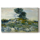 Canvas art print portraying a rocky terrain with natural formations and sparse vegetation under sky, set against a white background