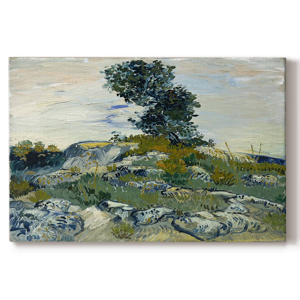 Canvas art print portraying a rocky terrain with natural formations and sparse vegetation under sky, set against a white background
