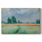 Canvas art print portraying a golden wheat field stretching across landscape under soft sky, set against a white background
