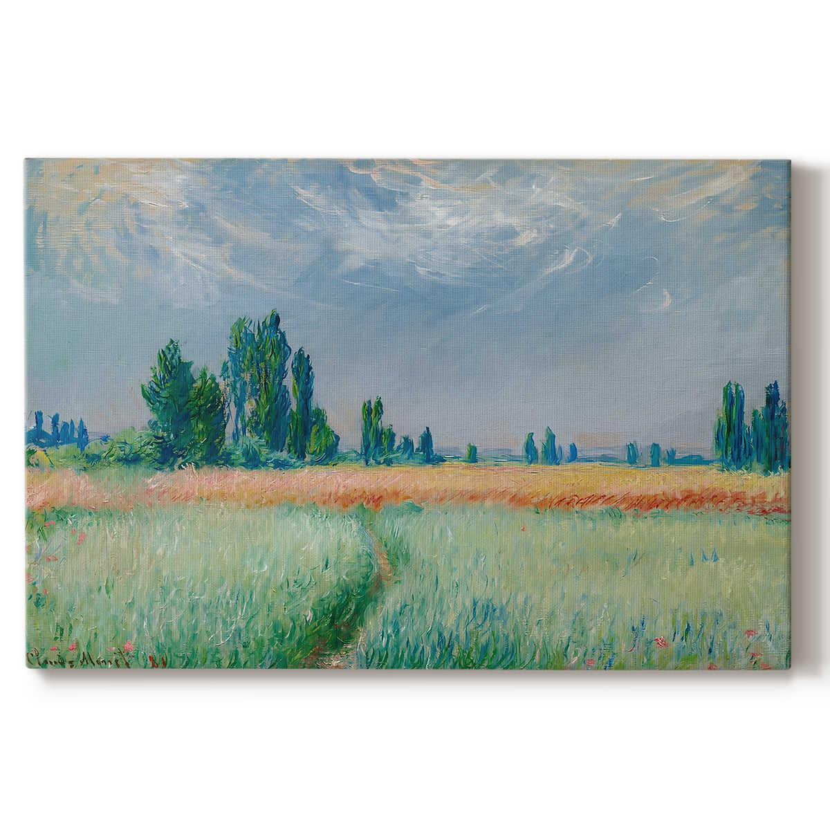 Canvas art print portraying a golden wheat field stretching across landscape under soft sky, set against a white background