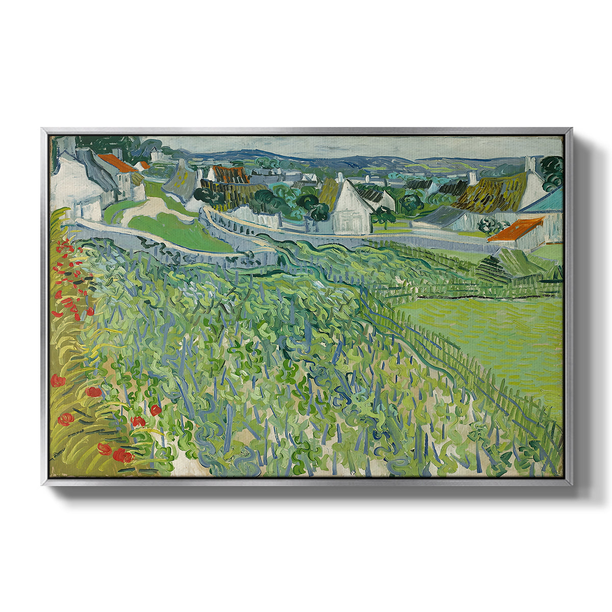 Vineyards at Auvers, 1890 - Floater Framed Canvas Print
