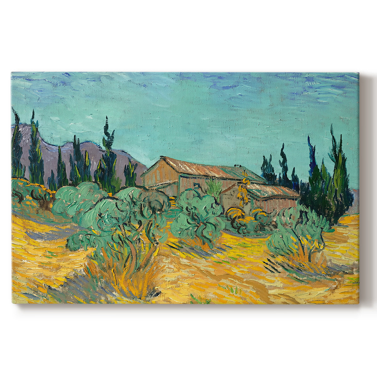 Canvas art print portraying rustic sheds surrounded by olive trees and tall cypresses in rural landscape, set against a white background