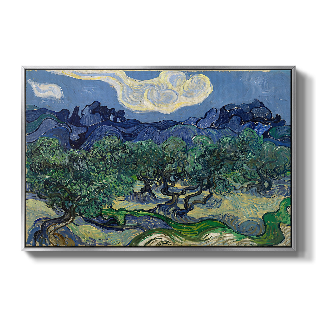 Olive Trees with the Alpilles in the Background, 1889 - Floater Framed Canvas Print