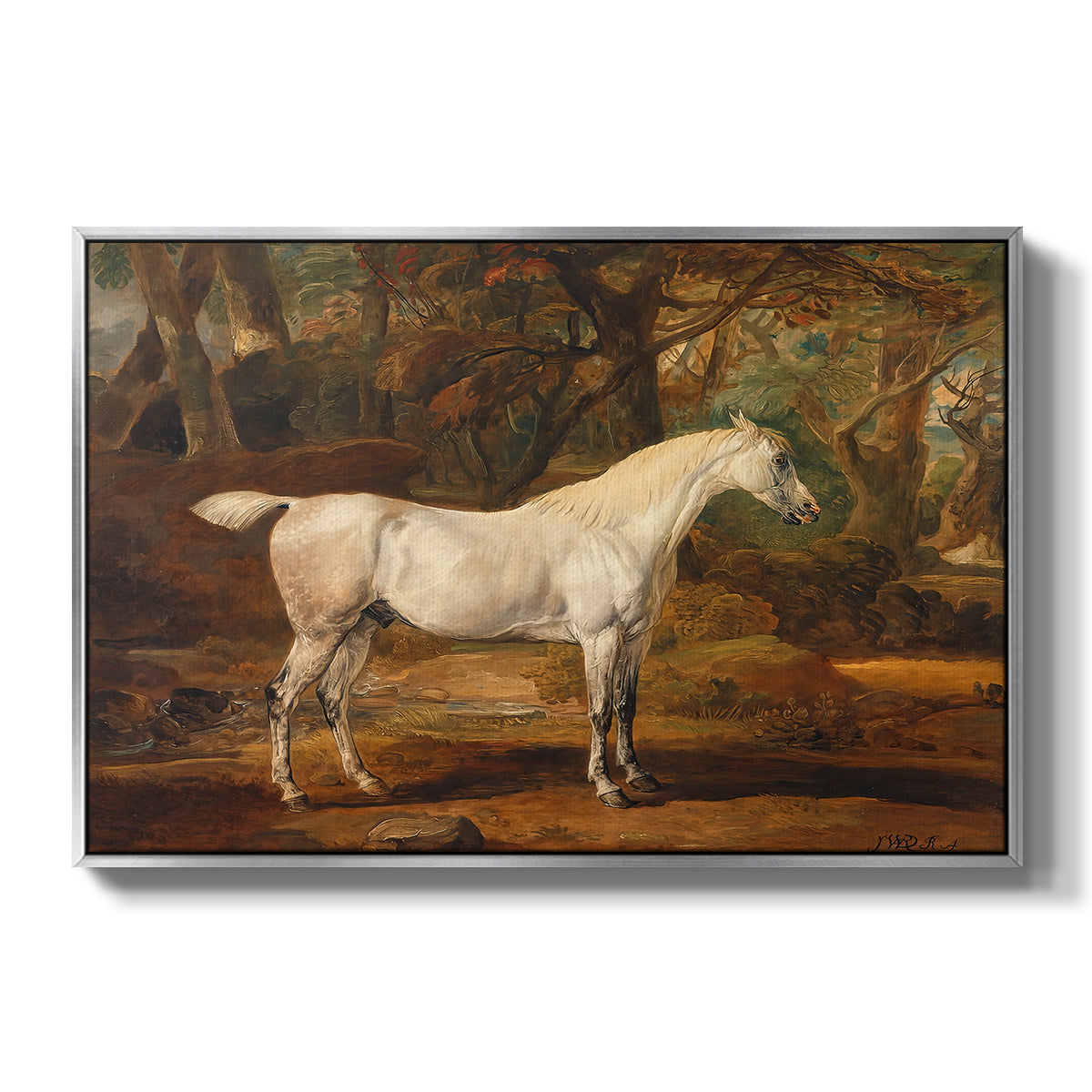 Grey Arabian Stallion, Property of Sir Watkin Williams-Wynn, c. 1817 - Floater Framed Canvas Print