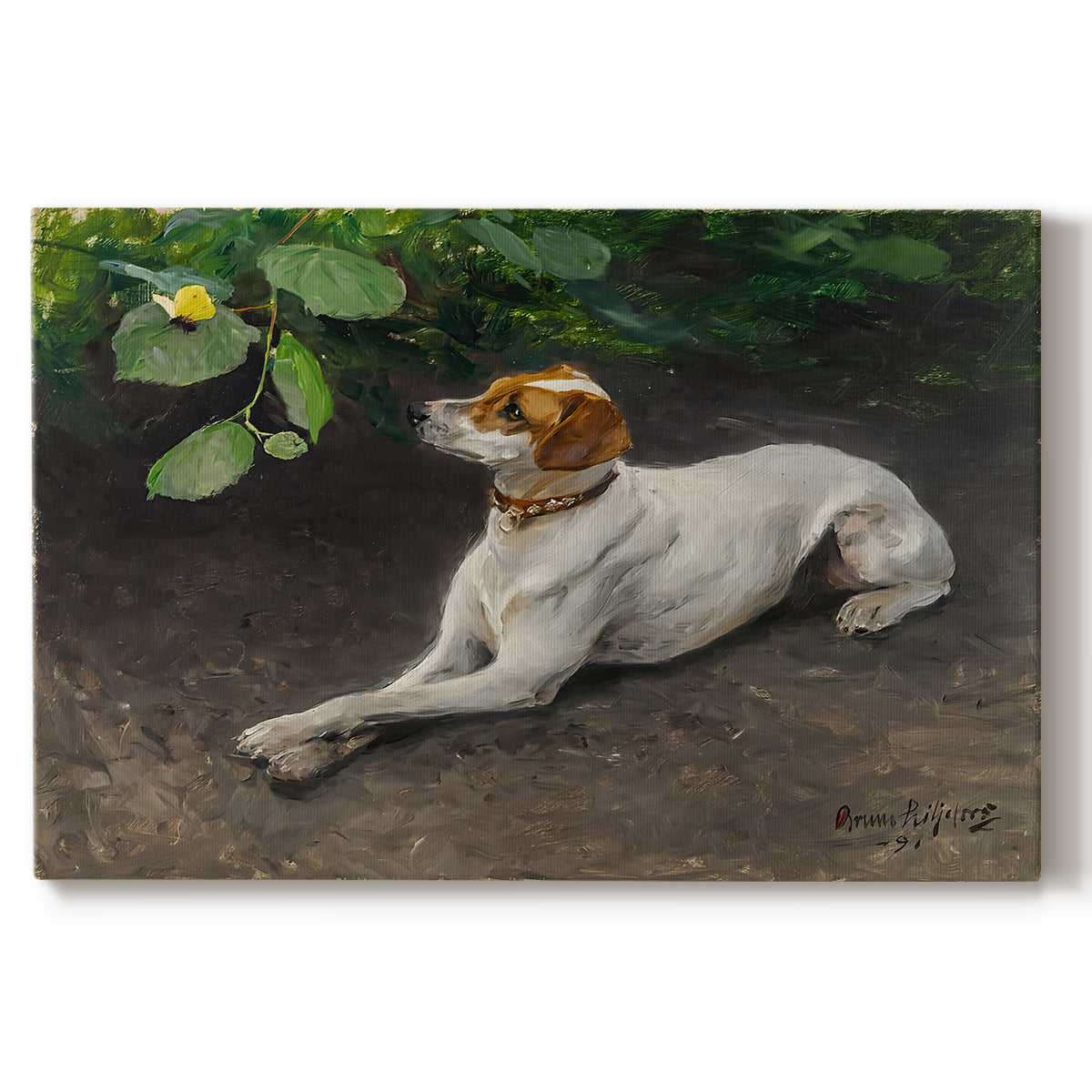 Canvas art print portraying a dog lying on ground with head raised in natural outdoor setting, set against a white background