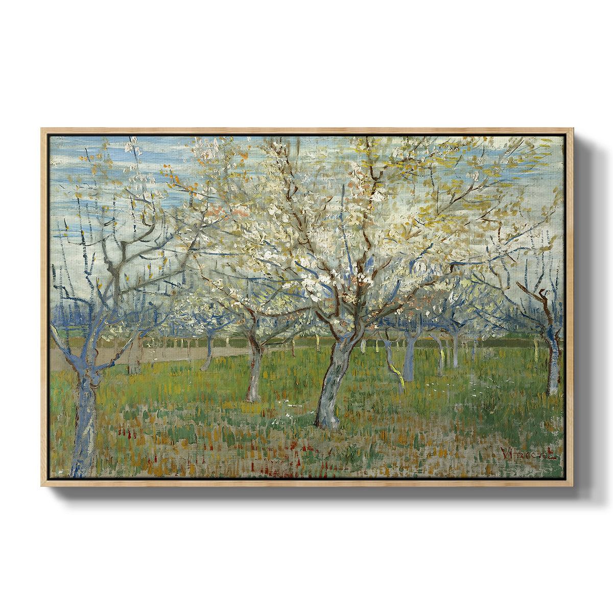 The Pink Orchard, 1888 - Floater Framed Canvas Print
