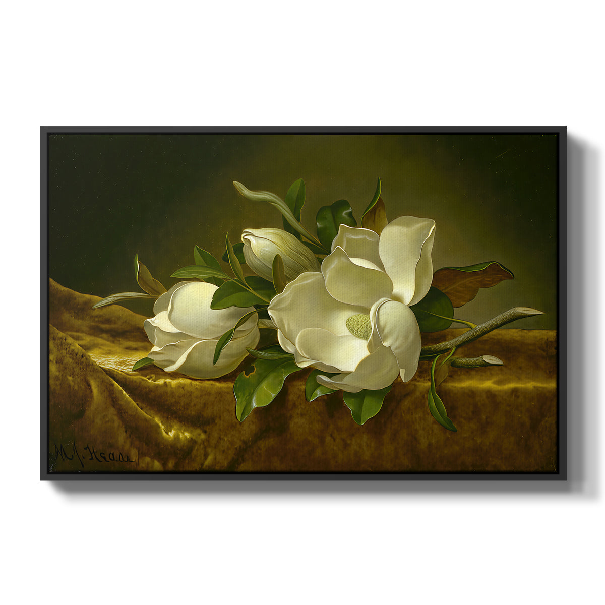 Magnolias on Gold Velvet Cloth, c. 1888-1890 - Floater Framed Canvas Print