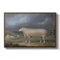A Border Leicester Ewe, c. 1795-1800 - Floater Framed Canvas Print