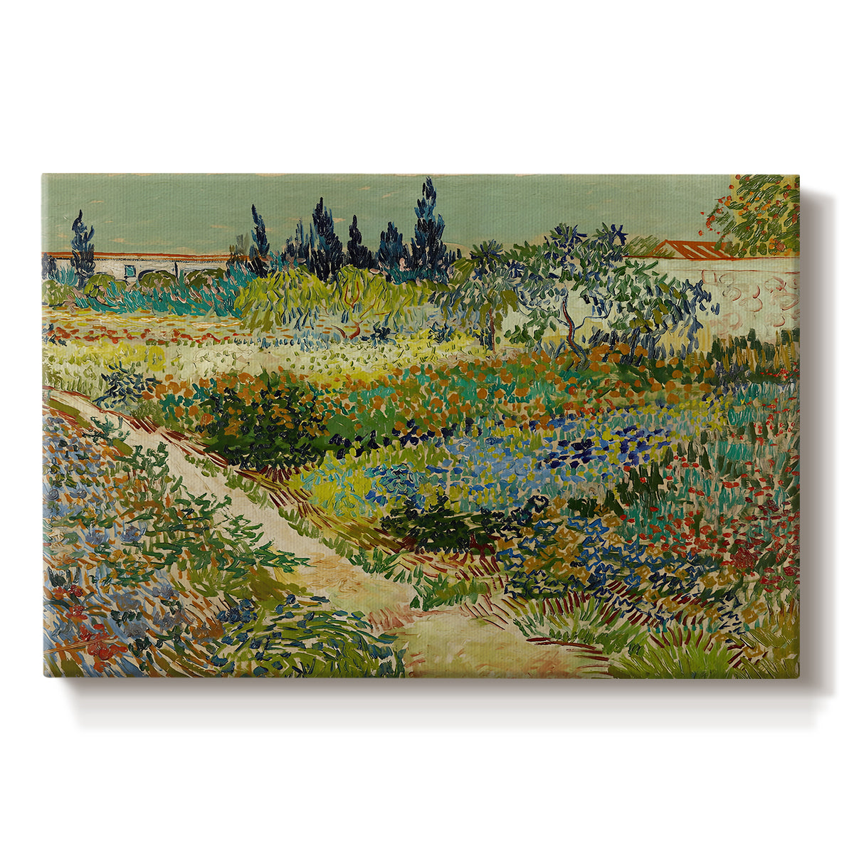 Canvas art print portraying a lush garden filled with plants and flowers arranged in bright sunlight, set against a white background
