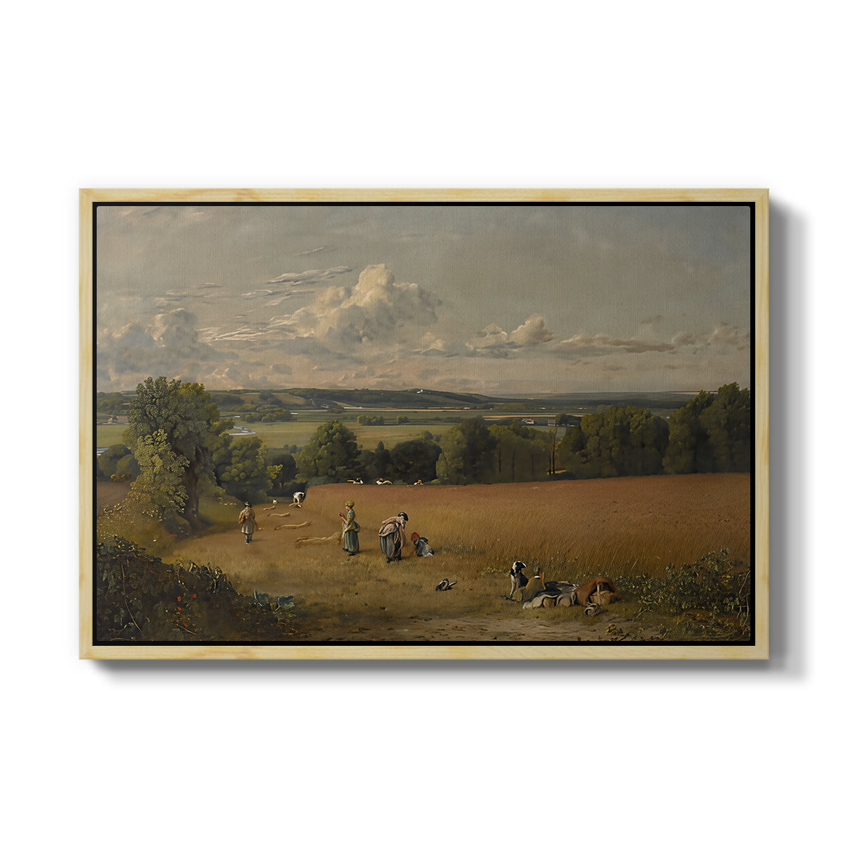 The Wheat Field, 1816 - Floater Framed Canvas Print