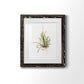 Gardenaire II - Premium Framed Print - Distressed Barnwood Frame - Ready to Hang