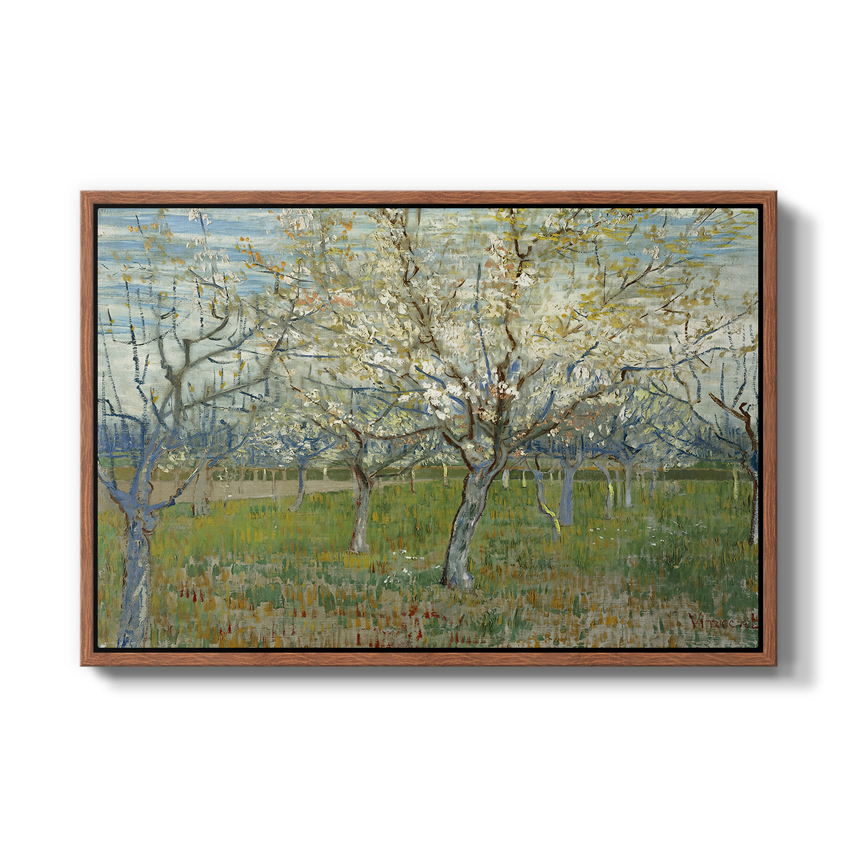 The Pink Orchard, 1888 - Floater Framed Canvas Print