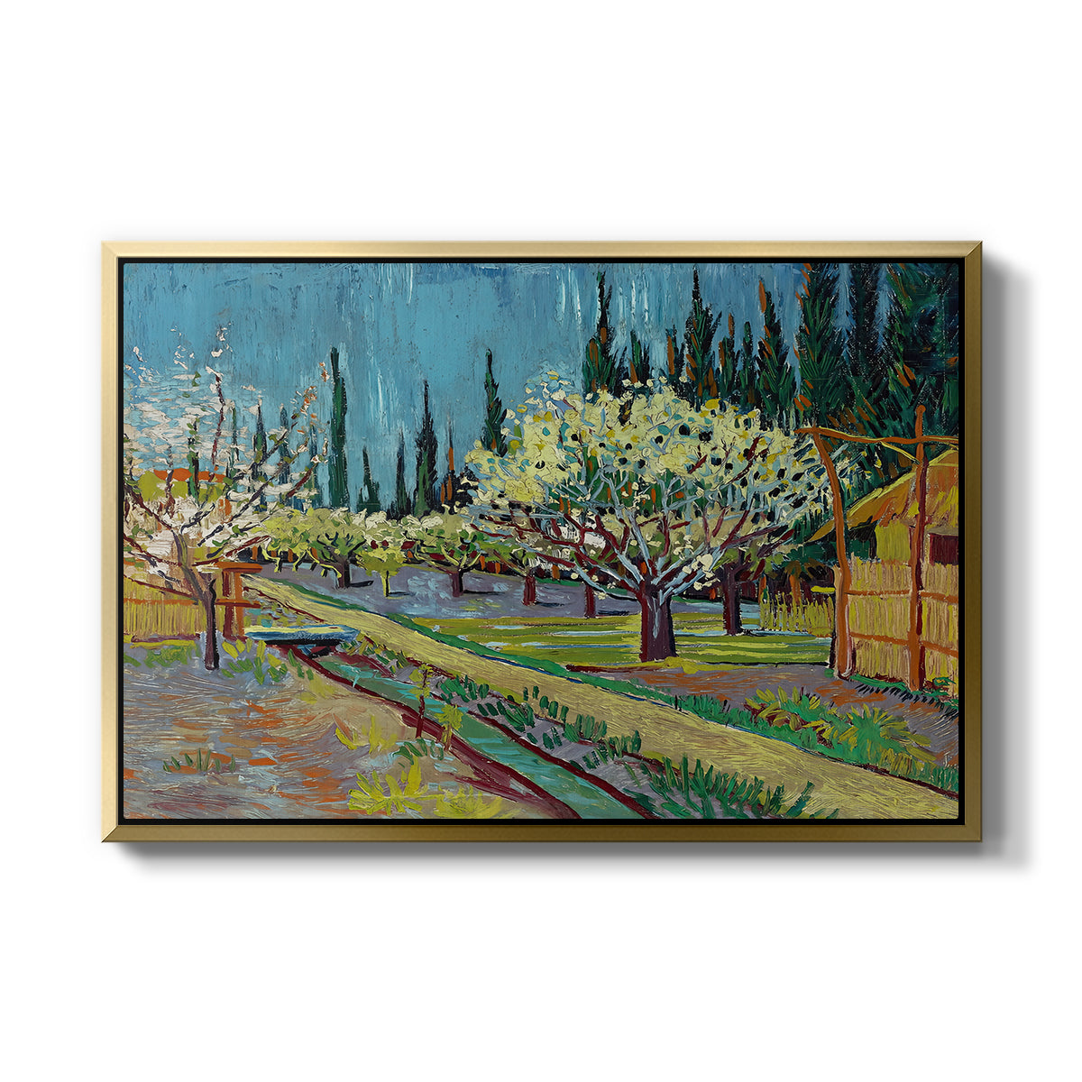 Orchard in Blossom, Bordered by Cypresses, 1888 - Floater Framed Canvas Print