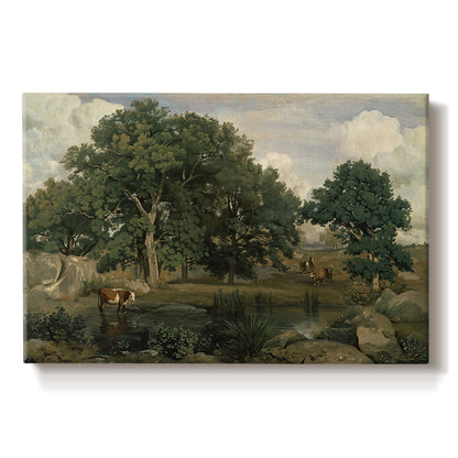 Canvas art print portraying a dense forest landscape with trees and filtered light across ground, set against a white background