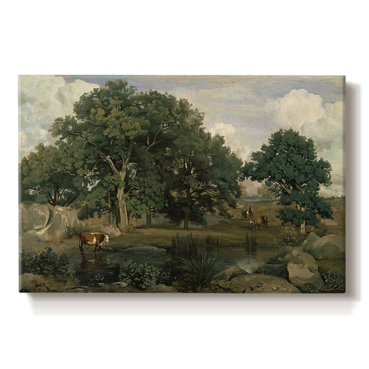 Canvas art print portraying a dense forest landscape with trees and filtered light across ground, set against a white background
