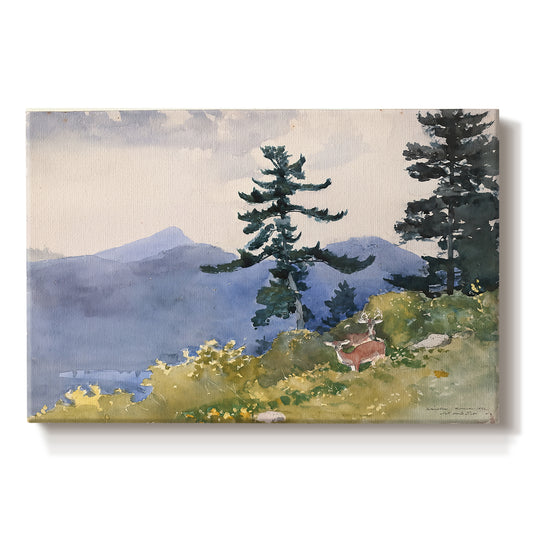 Canvas art print portraying a quiet forest clearing with trees and distant structure in natural setting, set against a white background