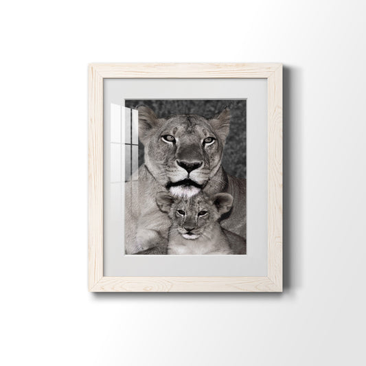 Lioness and Cub - Premium Framed Print - Distressed Barnwood Frame - Ready to Hang