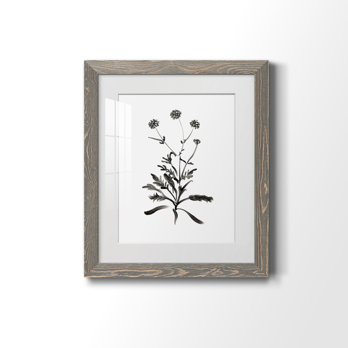 Inky Botanical I - Premium Framed Print - Distressed Barnwood Frame - Ready to Hang