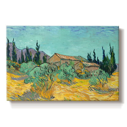 Canvas art print portraying rustic sheds surrounded by olive trees and tall cypresses in rural landscape, set against a white background