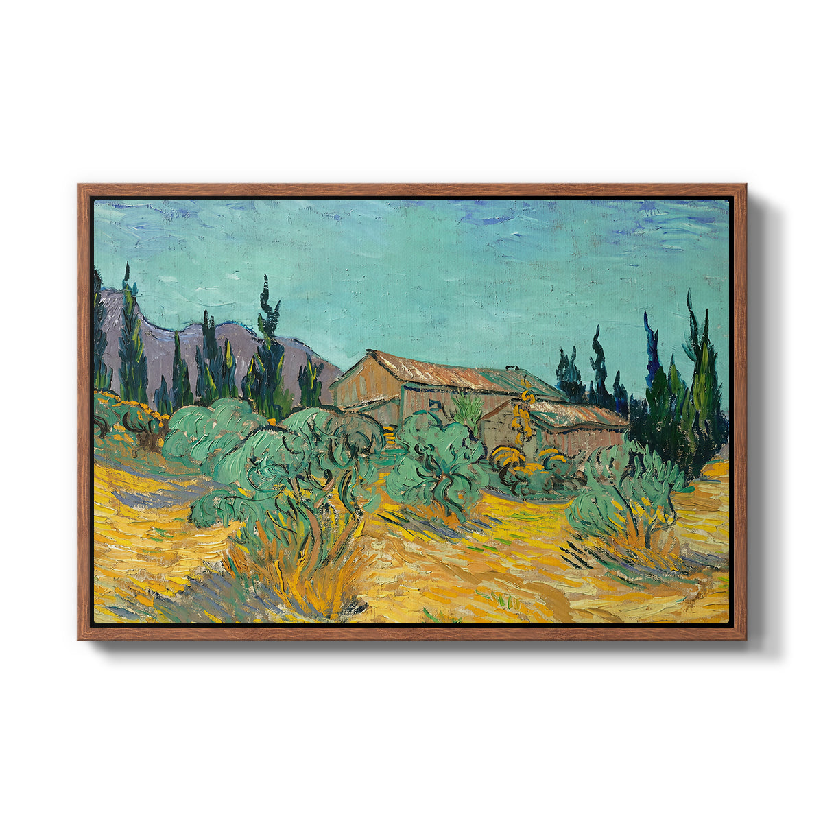 Wooden Sheds Among the Olive Trees and Cypresses, 1889 - Floater Framed Canvas Print
