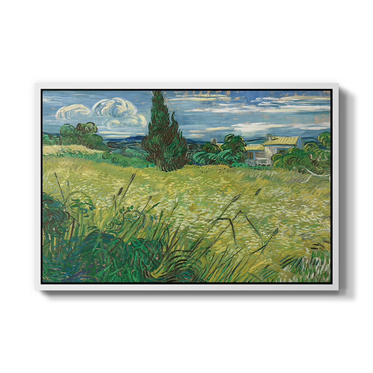 Green Wheat Field with Cypress, 1889 - Floater Framed Canvas Print