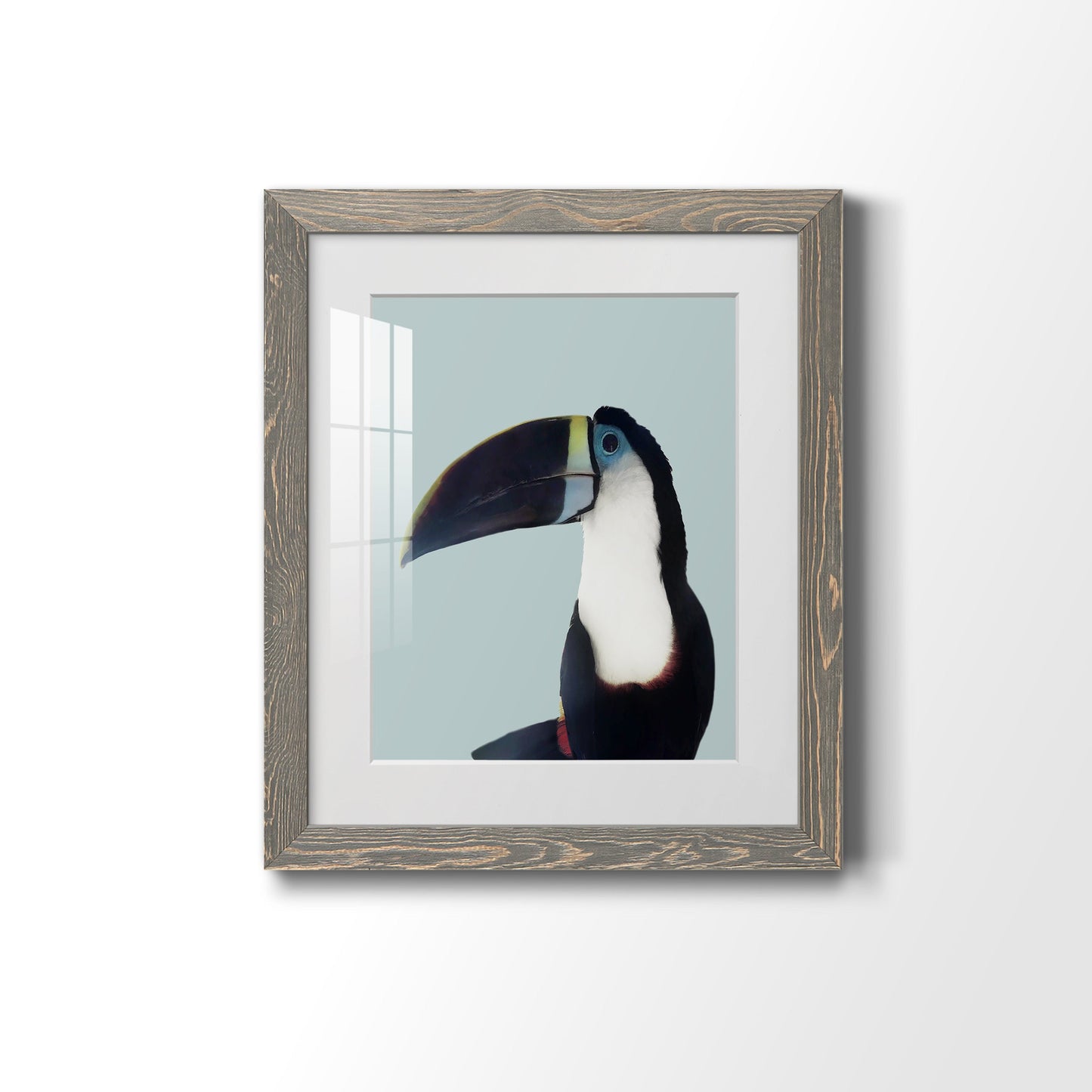 Aruba Wildlife - Premium Framed Print - Distressed Barnwood Frame - Ready to Hang