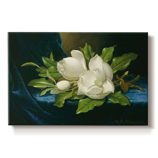 Canvas art print portraying a large magnolia flowers arranged on blue velvet, set against a white background