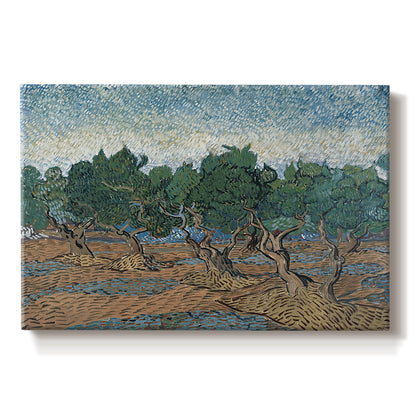 Canvas art print portraying twisting olive trees set within rolling landscape under vibrant sky, set against a white background