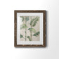 Modern Fronds I - Premium Framed Print - Distressed Barnwood Frame - Ready to Hang