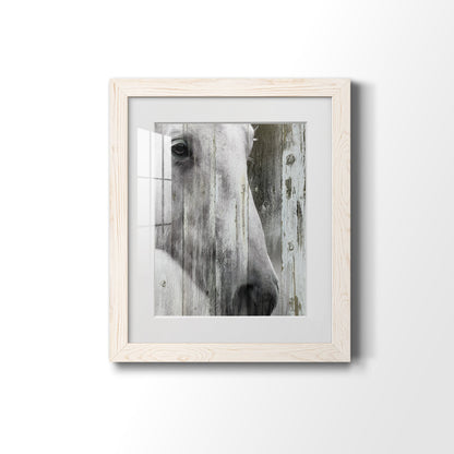 Contemplation - Premium Framed Print - Distressed Barnwood Frame - Ready to Hang