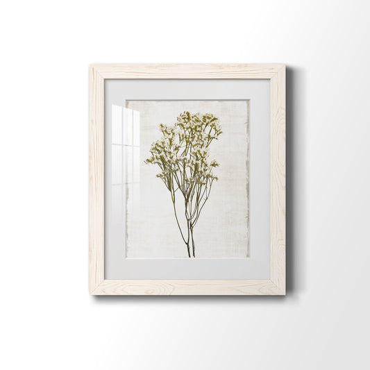 Farmhouse Pressed Flower II - Barnwood Framed Art Print