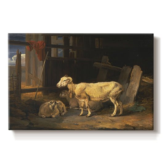 Canvas art print portraying a group of sheep gathered inside dimly lit stable interior, set against a white background