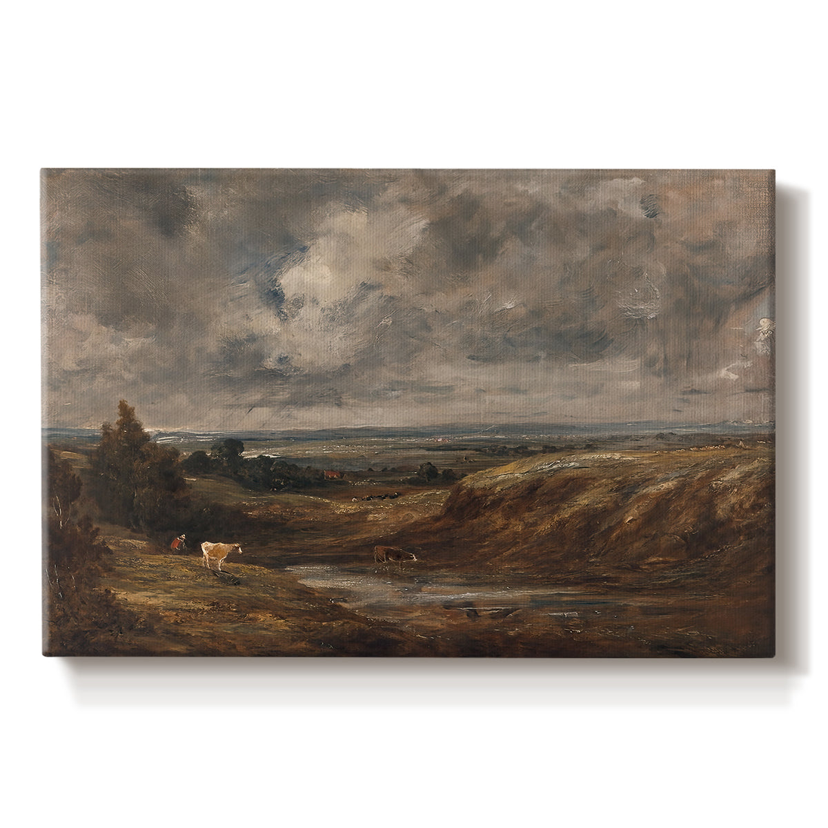 Canvas art print portraying an open heath landscape with low vegetation and expansive sky, set against a white background